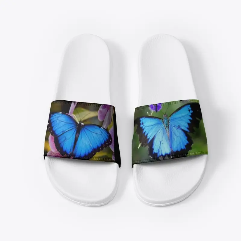 Butterfly slides